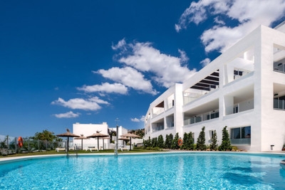 Altos de los Monteros - Image 4