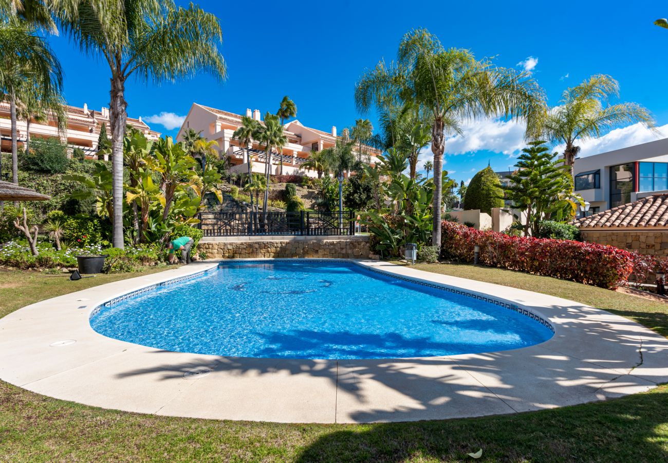 Albatross Hills Apartment image 3