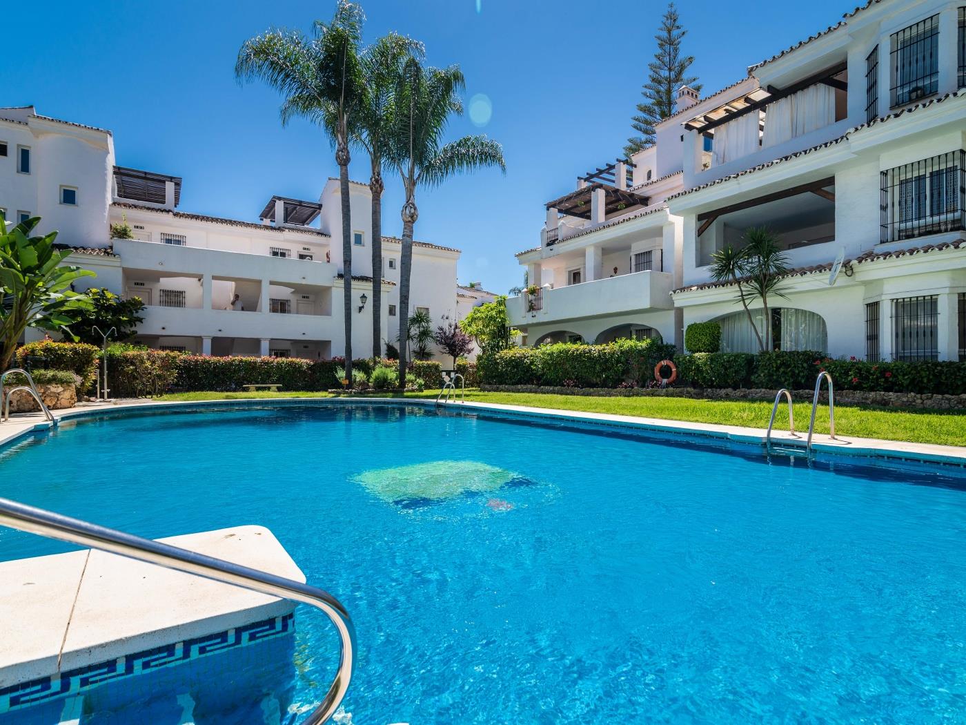 Top Renovated Penthouse in Sunny Los Naranjos ✔ image 7