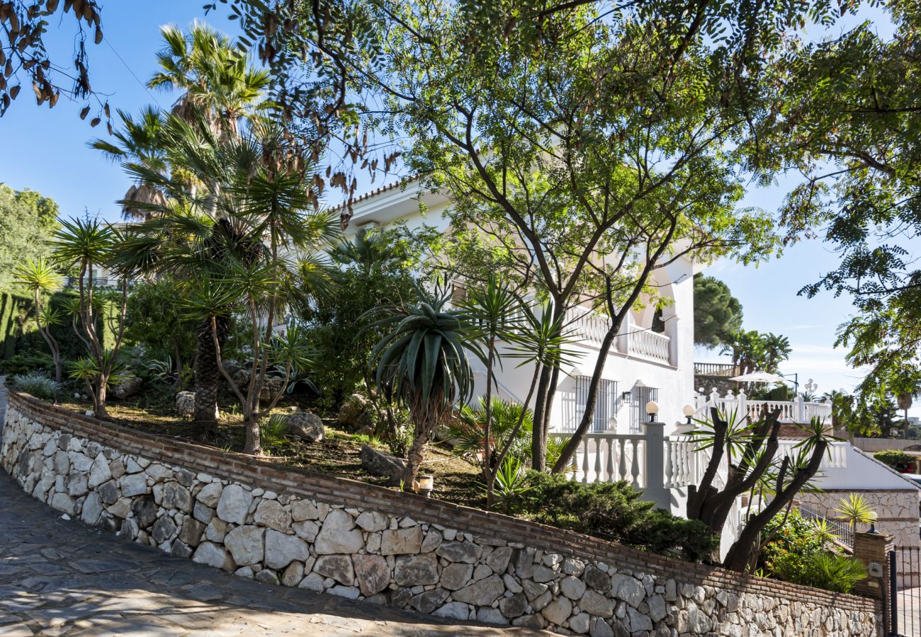 Villa Sina image 7