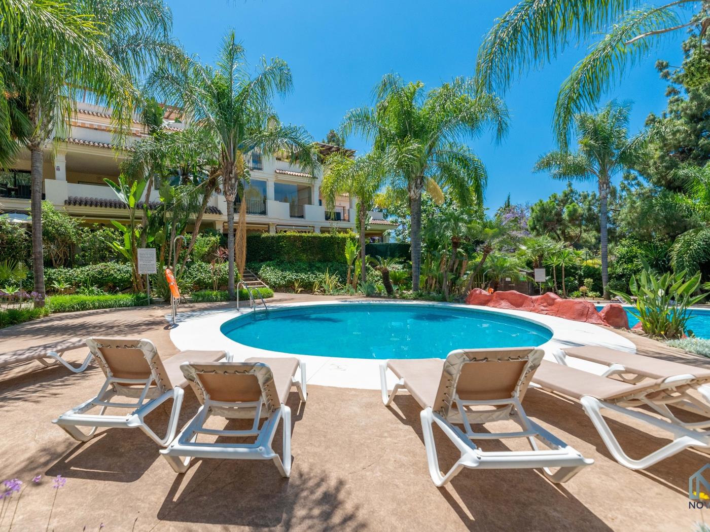 Modern and Spacious 2 BDRM Penthouse w/ 3 Pools image 7